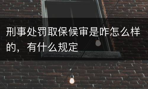 刑事处罚取保候审是咋怎么样的，有什么规定