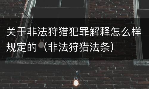 关于非法狩猎犯罪解释怎么样规定的（非法狩猎法条）