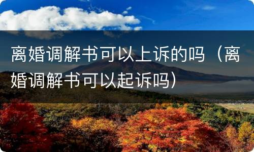 离婚调解书可以上诉的吗（离婚调解书可以起诉吗）