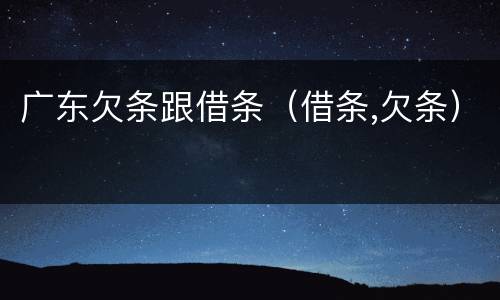 广东欠条跟借条（借条,欠条）