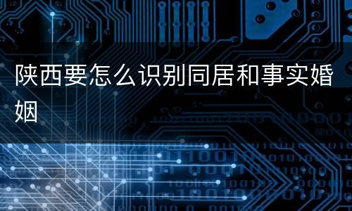 陕西要怎么识别同居和事实婚姻