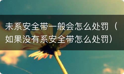 未系安全带一般会怎么处罚（如果没有系安全带怎么处罚）