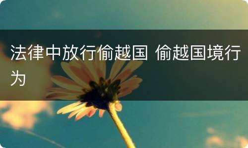 法律中放行偷越国 偷越国境行为