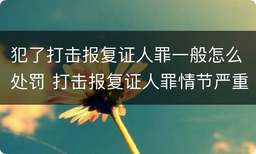 犯了打击报复证人罪一般怎么处罚 打击报复证人罪情节严重
