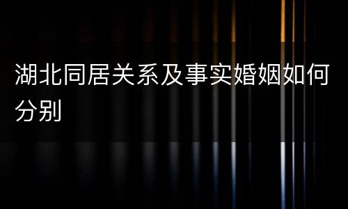 湖北同居关系及事实婚姻如何分别