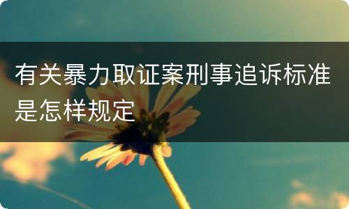 有关暴力取证案刑事追诉标准是怎样规定
