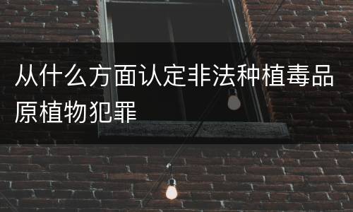 从什么方面认定非法种植毒品原植物犯罪