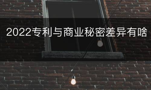 2022专利与商业秘密差异有啥