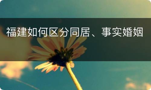 福建如何区分同居、事实婚姻