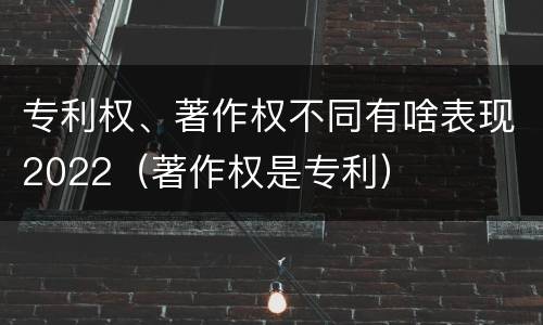 专利权、著作权不同有啥表现2022（著作权是专利）