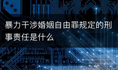 暴力干涉婚姻自由罪规定的刑事责任是什么