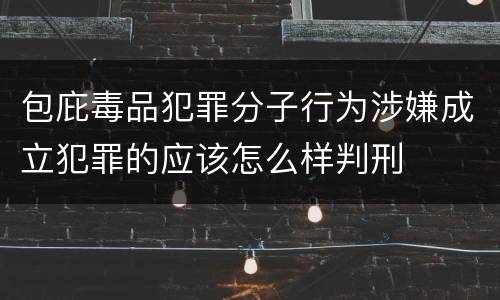 包庇毒品犯罪分子行为涉嫌成立犯罪的应该怎么样判刑