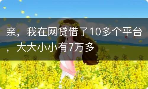 亲，我在网贷借了10多个平台，大大小小有7万多