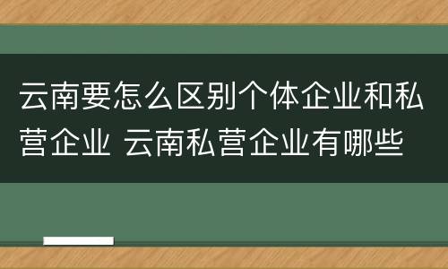 云南要怎么区别个体企业和私营企业 云南私营企业有哪些