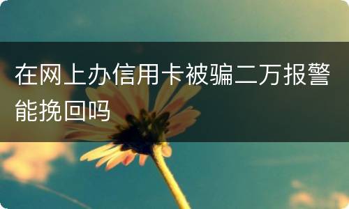 在网上办信用卡被骗二万报警能挽回吗