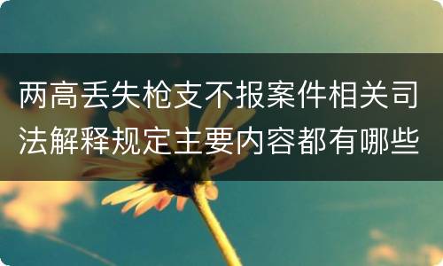 两高丢失枪支不报案件相关司法解释规定主要内容都有哪些