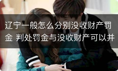 辽宁一般怎么分别没收财产罚金 判处罚金与没收财产可以并罚吗