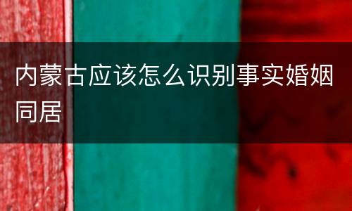 内蒙古应该怎么识别事实婚姻同居