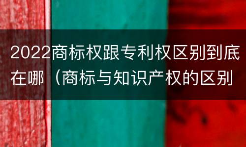 2022商标权跟专利权区别到底在哪（商标与知识产权的区别）