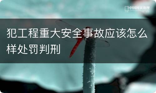 犯工程重大安全事故应该怎么样处罚判刑