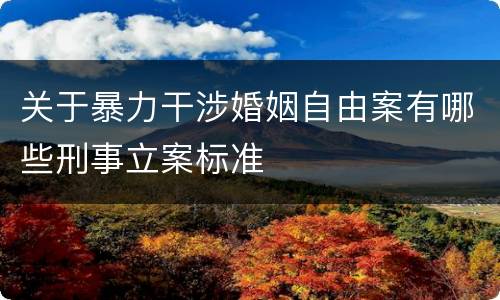 关于暴力干涉婚姻自由案有哪些刑事立案标准