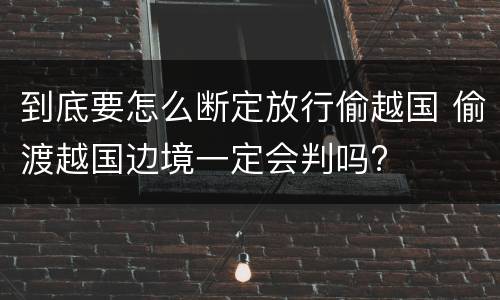 到底要怎么断定放行偷越国 偷渡越国边境一定会判吗?