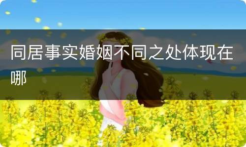同居事实婚姻不同之处体现在哪
