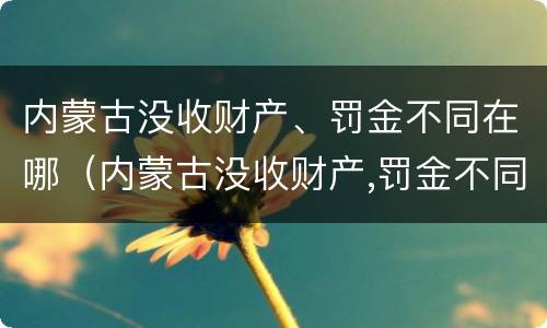 内蒙古没收财产、罚金不同在哪（内蒙古没收财产,罚金不同在哪缴纳）