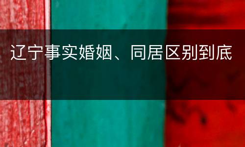 辽宁事实婚姻、同居区别到底