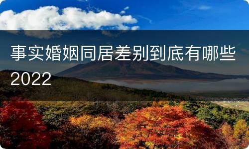 事实婚姻同居差别到底有哪些2022