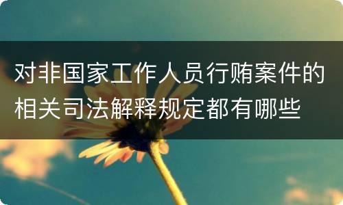 对非国家工作人员行贿案件的相关司法解释规定都有哪些