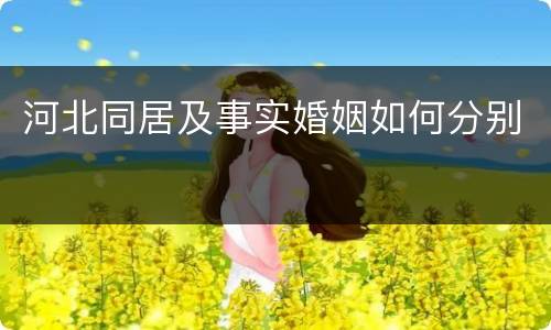 河北同居及事实婚姻如何分别