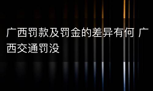 广西罚款及罚金的差异有何 广西交通罚没