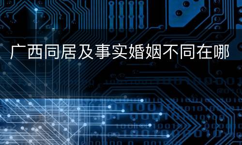 广西同居及事实婚姻不同在哪
