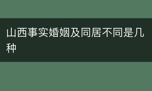 山西事实婚姻及同居不同是几种