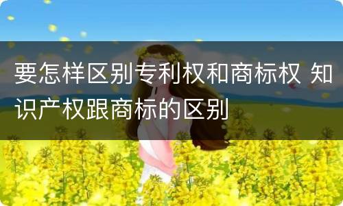 要怎样区别专利权和商标权 知识产权跟商标的区别