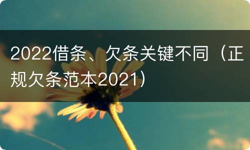 2022借条、欠条关键不同（正规欠条范本2021）