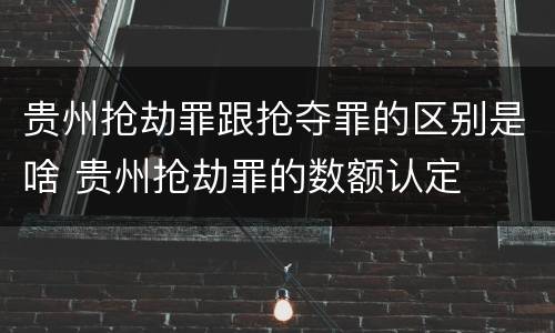 贵州抢劫罪跟抢夺罪的区别是啥 贵州抢劫罪的数额认定