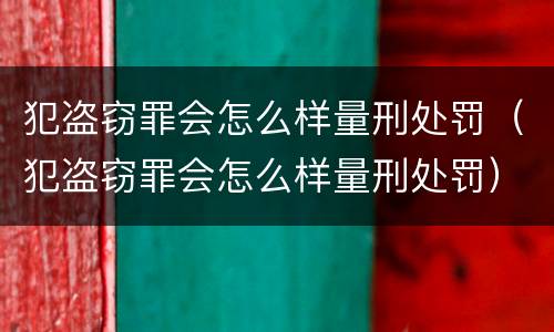 犯盗窃罪会怎么样量刑处罚（犯盗窃罪会怎么样量刑处罚）