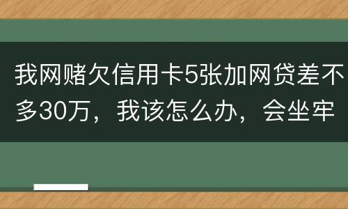 我网赌欠信用卡5张加网贷差不多30万，我该怎么办，会坐牢吗？没钱还，还不上了