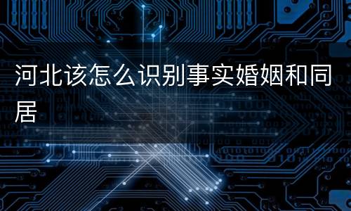 河北该怎么识别事实婚姻和同居