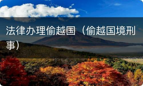 法律办理偷越国（偷越国境刑事）