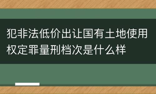 犯非法低价出让国有土地使用权定罪量刑档次是什么样