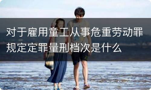 对于雇用童工从事危重劳动罪规定定罪量刑档次是什么
