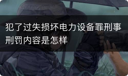犯了过失损坏电力设备罪刑事刑罚内容是怎样