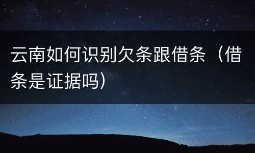 云南如何识别欠条跟借条（借条是证据吗）