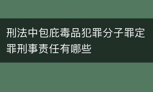 刑法中包庇毒品犯罪分子罪定罪刑事责任有哪些
