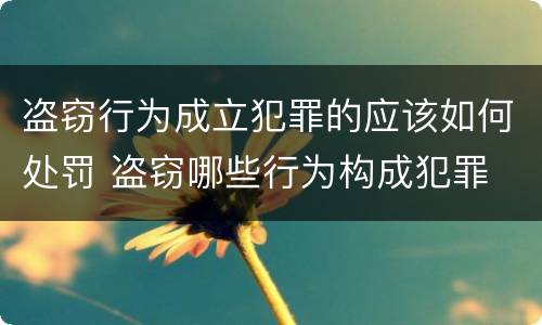 盗窃行为成立犯罪的应该如何处罚 盗窃哪些行为构成犯罪