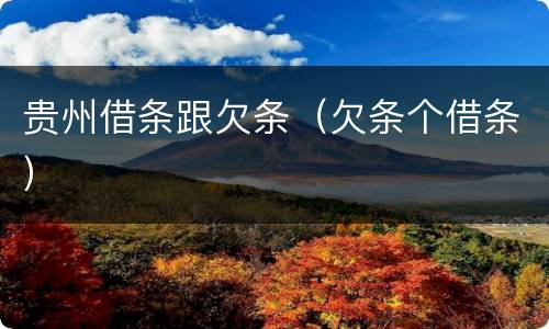 贵州借条跟欠条（欠条个借条）