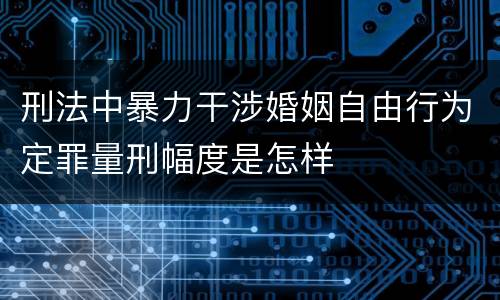 刑法中暴力干涉婚姻自由行为定罪量刑幅度是怎样